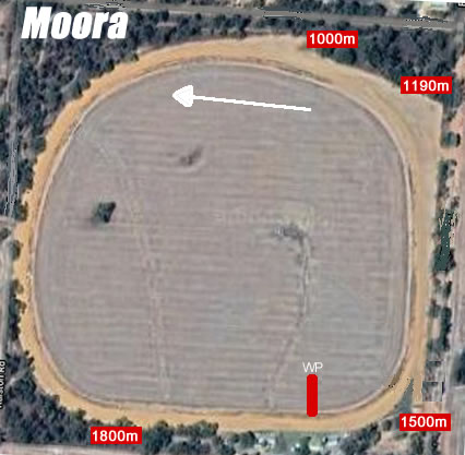 moor